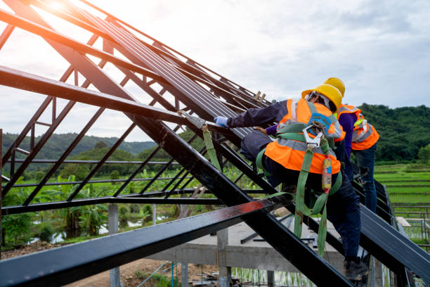 Best Storm Damage Roof Repair  in Birch Run, MI
