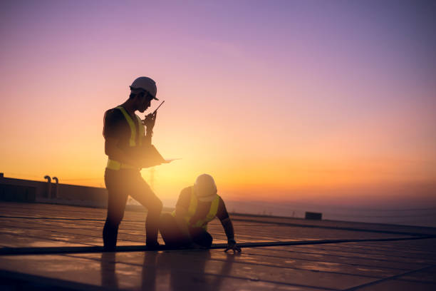 Best Sealant for Roof  in Birch Run, MI