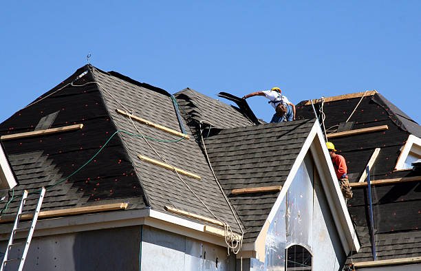 Best Roof Gutter Cleaning  in Birch Run, MI