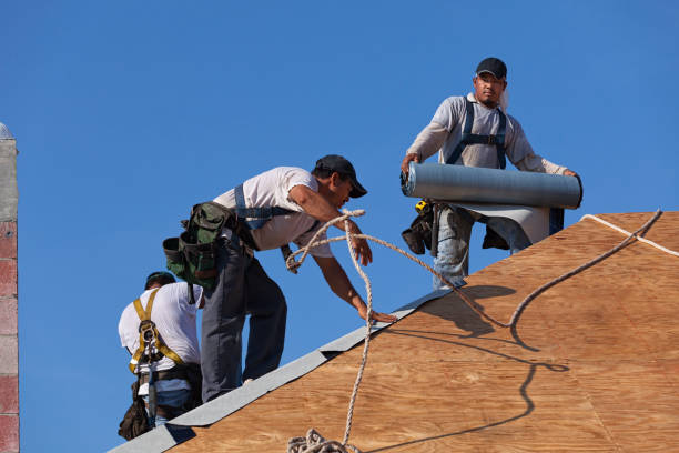 Best Residential Roofing Contractor  in Birch Run, MI