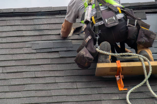 Best Storm Damage Roof Repair  in Birch Run, MI