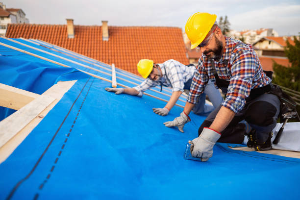 Best Metal Roofing Contractor  in Birch Run, MI