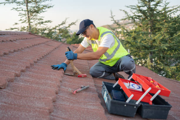 Sealant for Roof in Birch Run, MI