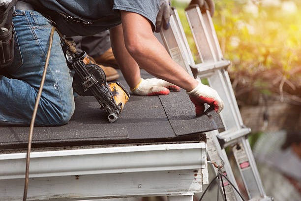 Best Roof Repair Services  in Birch Run, MI