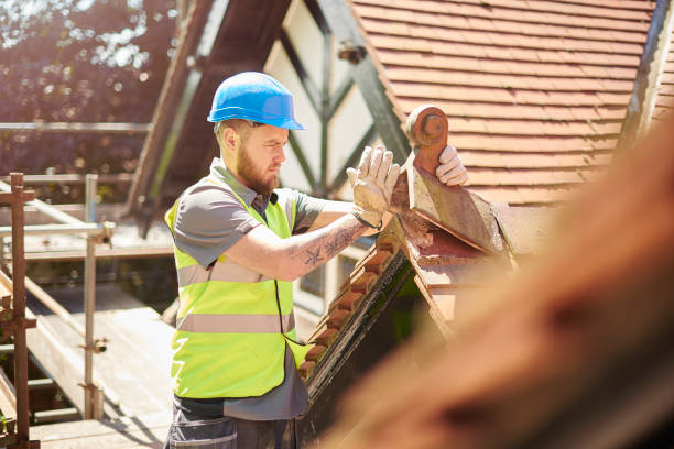 Best Roof Waterproofing Services  in Birch Run, MI