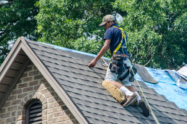 Roof Waterproofing Services in Birch Run, MI